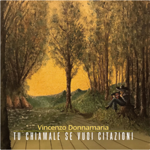 Vincenzo Donnamaria – Tu chiamale se vuoi citazioni