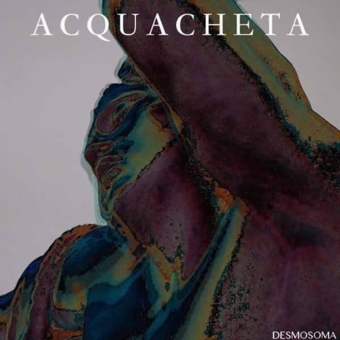 Acquacheta – Desmosoma